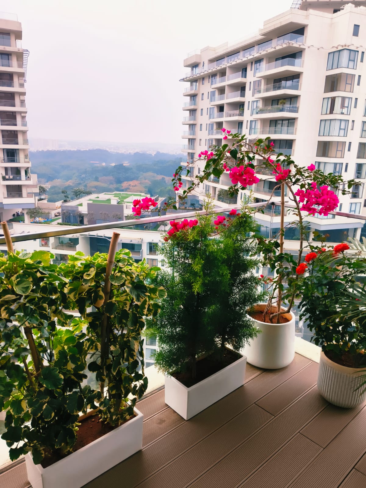 WhatsApp Image 2026-01-09 at 7.45.30 PM